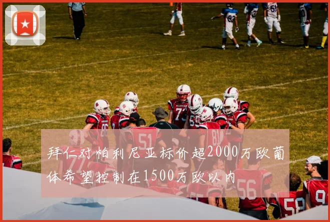 拜仁对帕利尼亚标价超2000万欧葡体希望控制在1500万欧以内
