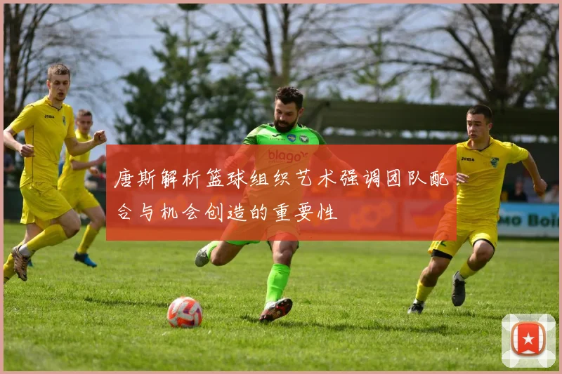 唐斯解析篮球组织艺术强调团队配合与机会创造的重要性